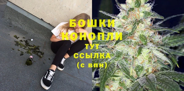 прущий лед Богородицк